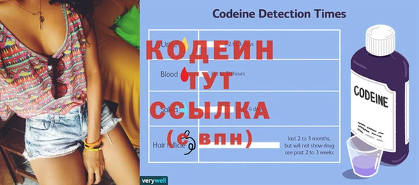 первитин Анива