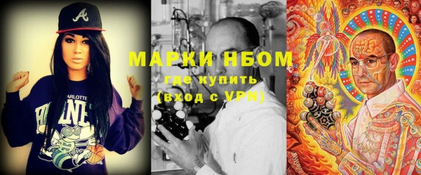 спайс Аша