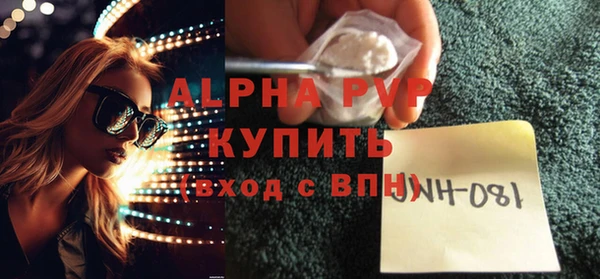 спайс Аша