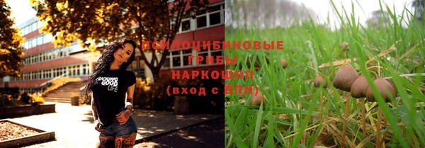 спайс Аша