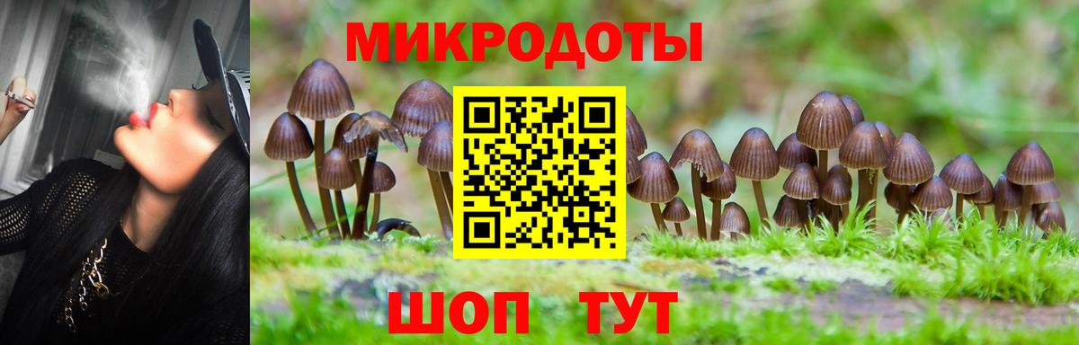 Галлюциногенные грибы Magic Shrooms Заволжье